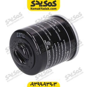 فیلتر روغن کی وی ویسته vieste