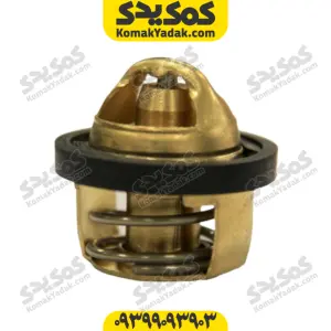 ترموستات sym هاسکی adv175