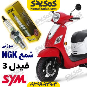 شمع فیدل 3 شمع فیدل 4